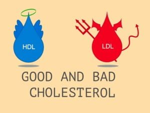 LDL و HDL