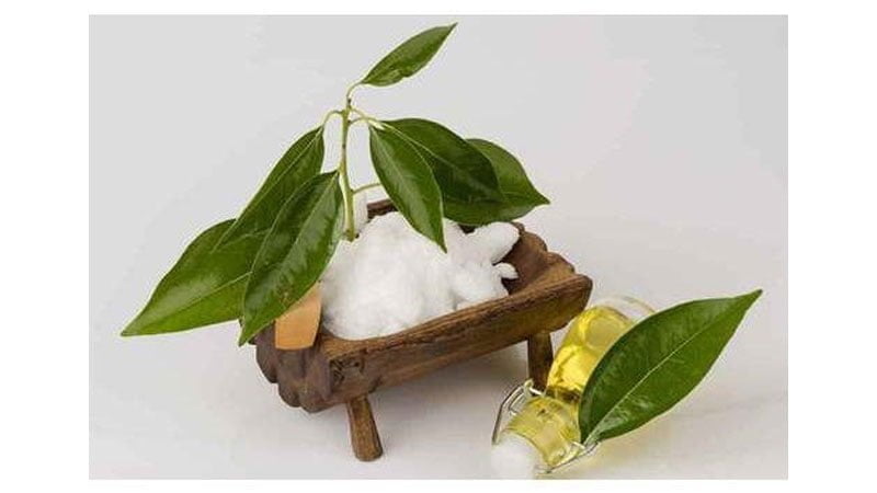 خواص کافور