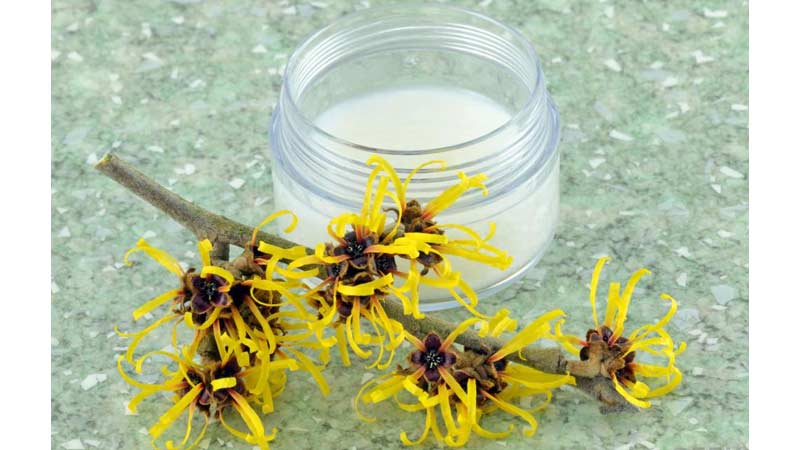 فندق افسونگر