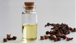 روغن میخک