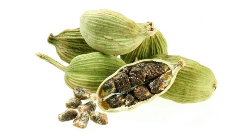 خواص دانه هل