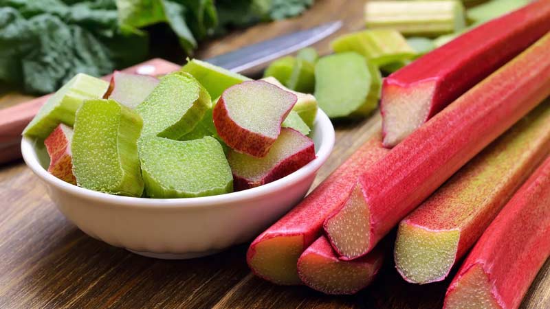 اندام دارویی ریواس