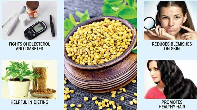 خواص شنبلیله