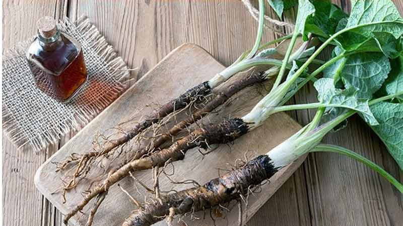 خواص بابا آدم