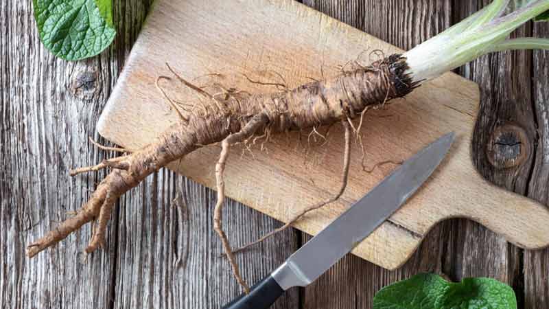 خواص بابا آدم