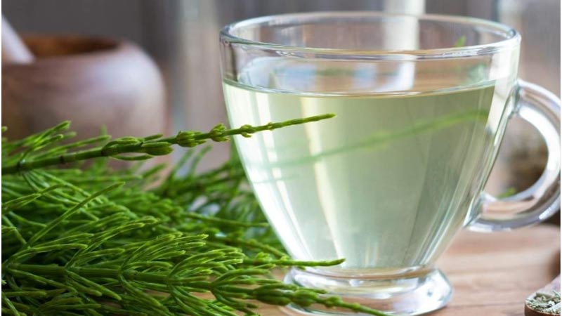 خواص دم اسب