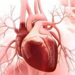علائم و علل نارسایی احتقانی قلب و راه‌های درمان آن
