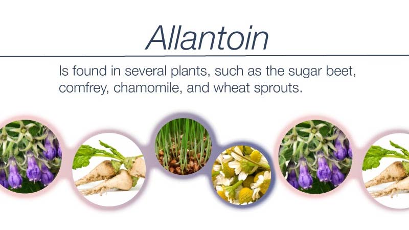 آلانتوئین برای پوست و مو