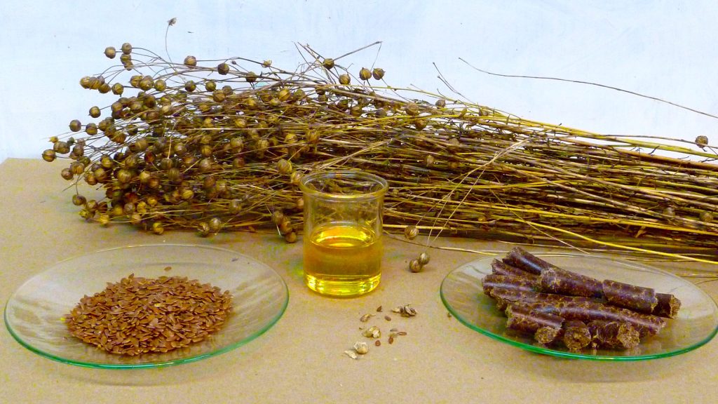 LINUM USITATISSIMUM SEED OIL (LINSEED)