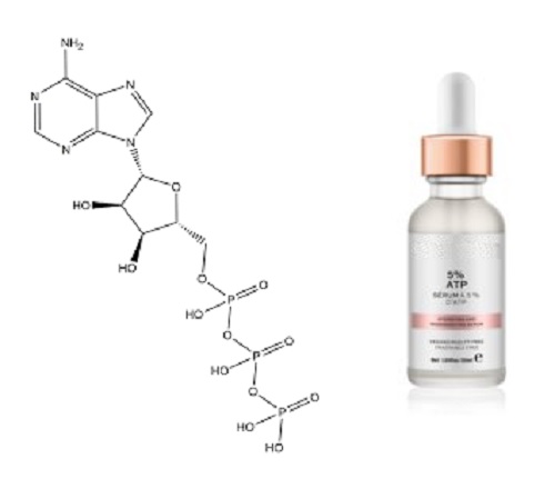 خواص و کاربرد ADENOSINE TRIPHOSPHATE در محصولات مراقبت از پوست
