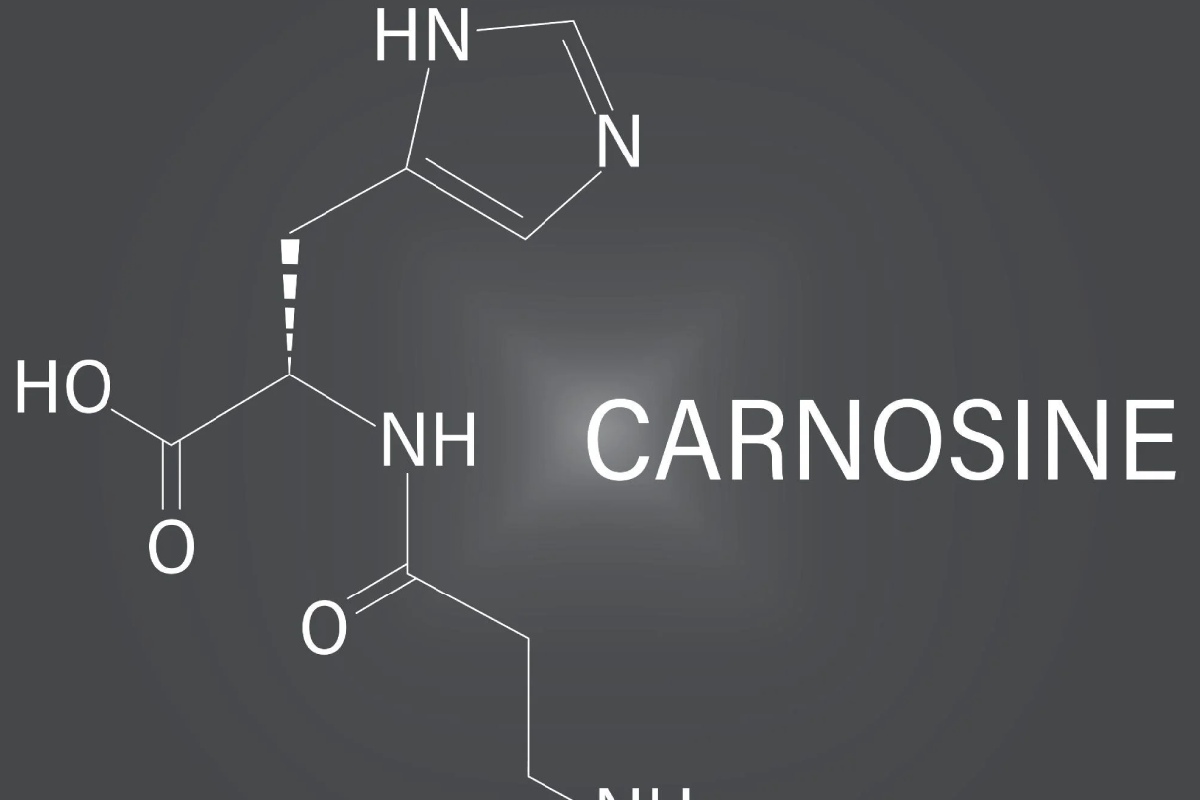 خواص CARNOSINE چیست؟