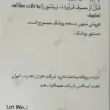 قرص لیو 52 دی اس هیمالیا بسته 90 عددی