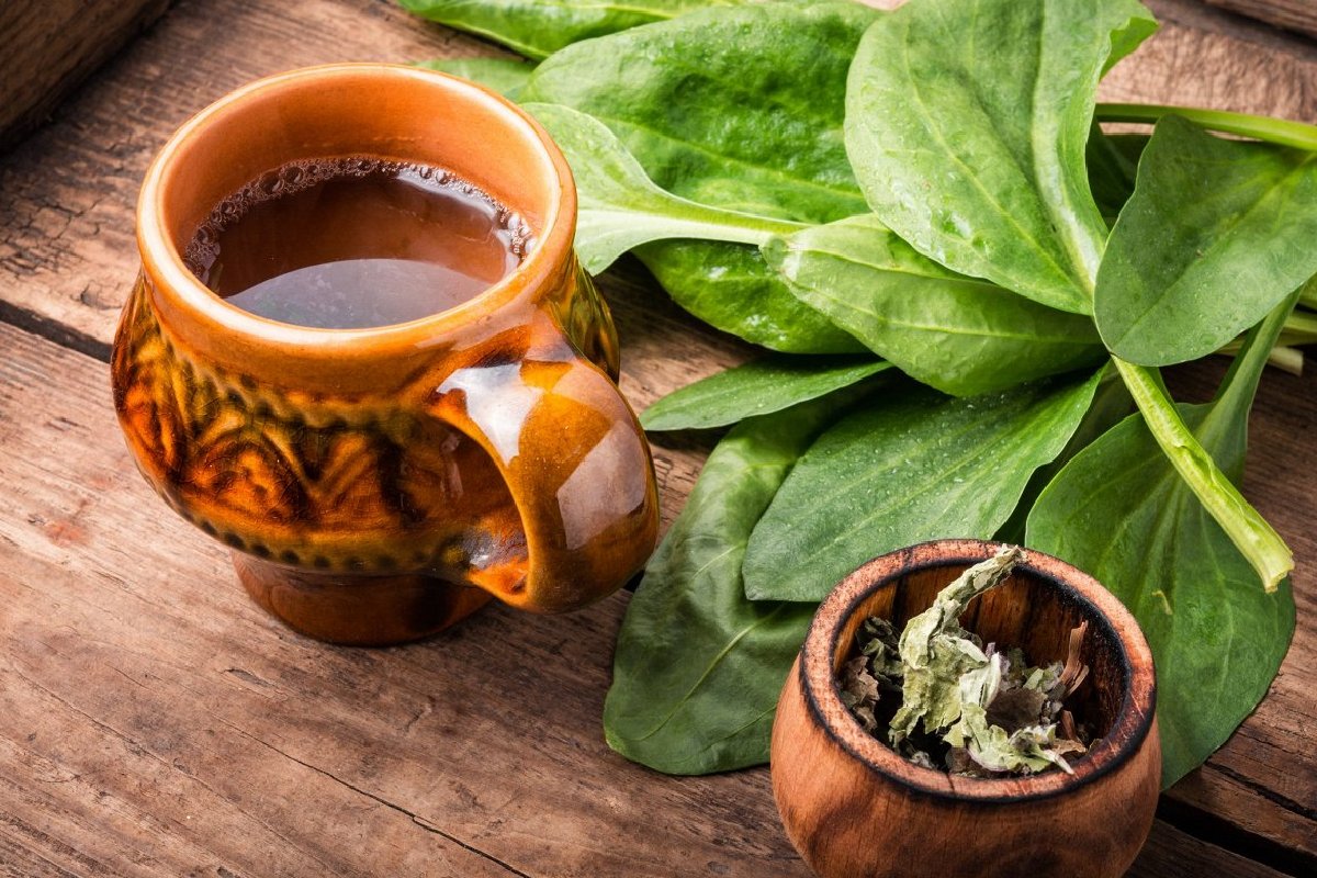 خواص بارهنگ در قاعدگی چیست؟