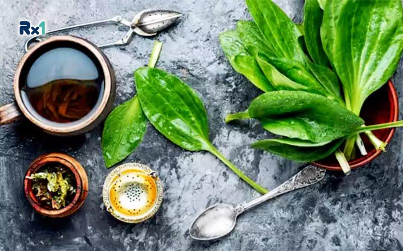 خواص گیاه بارهنگ در قاعدگی