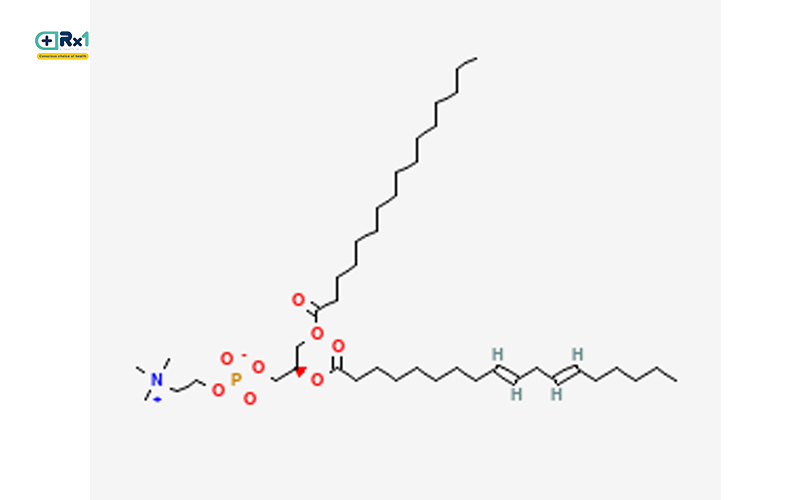 LECITHIN
