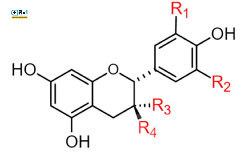 PROANTHOCYANIDIN