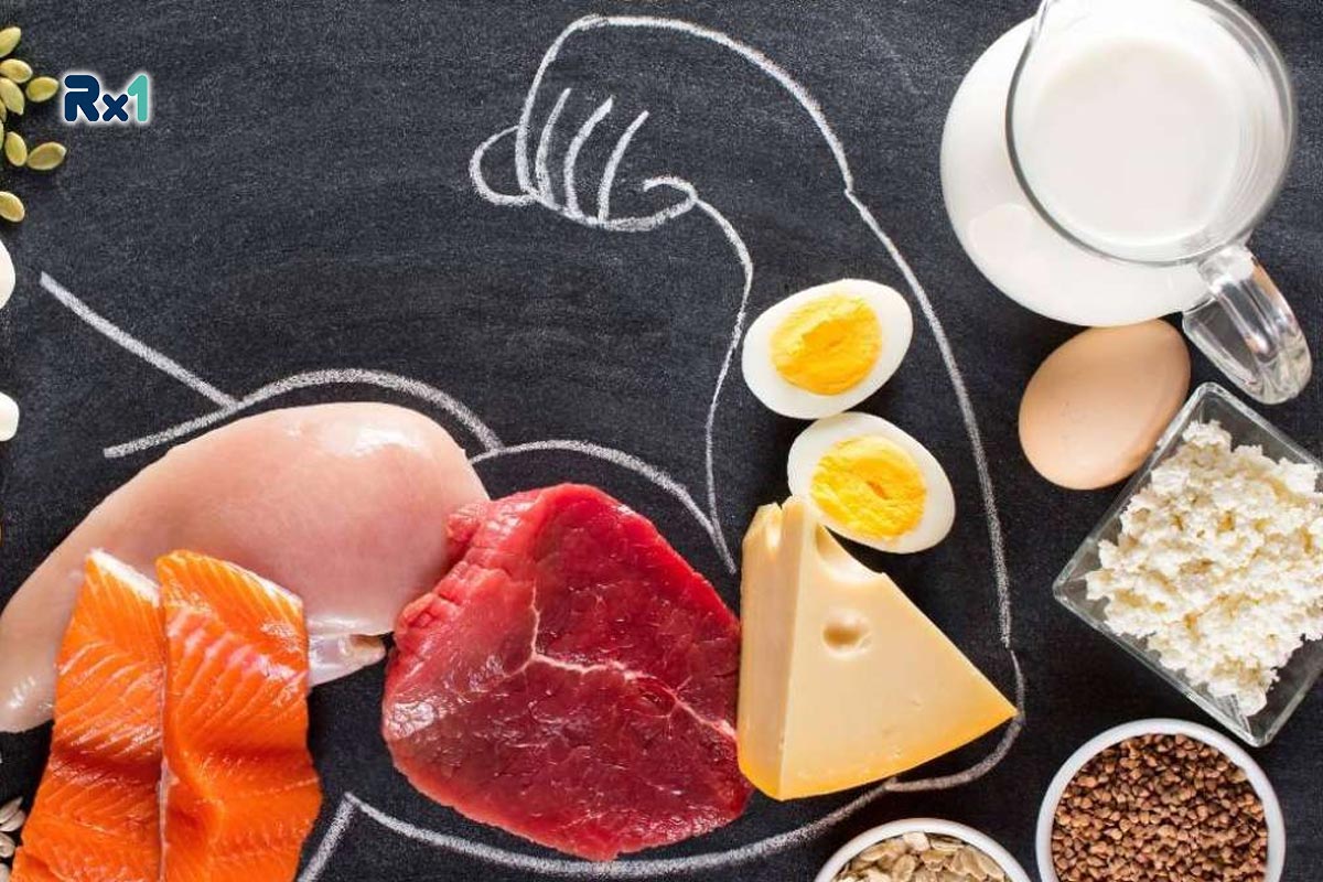 پروتئین چیست؟ انواع پروتئین، عملکرد و ساختار آن‌ها