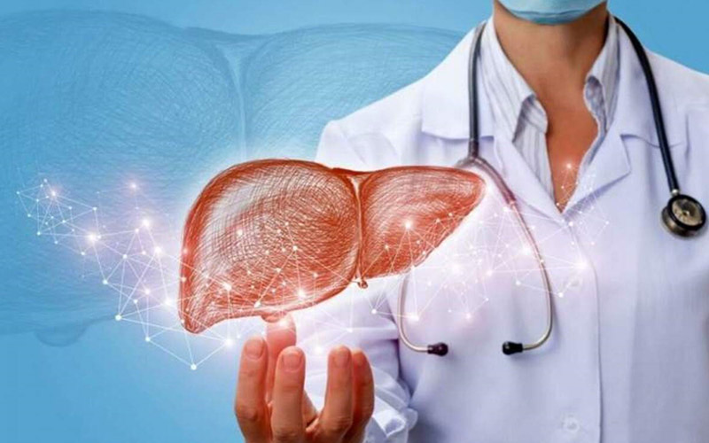 درمان کبد چرب