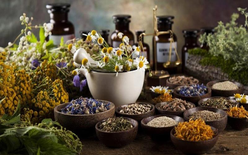 داروهای گیاهی درکان کبد چرب