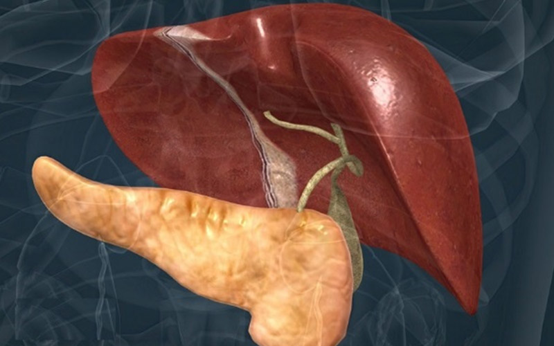 علائم کبد چرب چیست