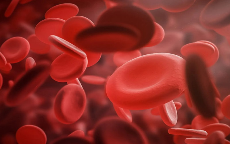 درمان کم خونی با ویتامین ب12