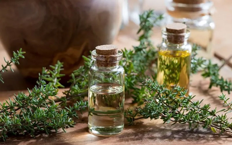 خواص آویشن چیست