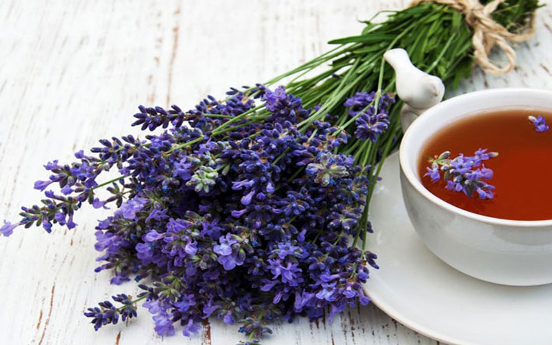 خواص شربت زوفا