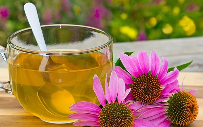 دمنوش سرخارگل