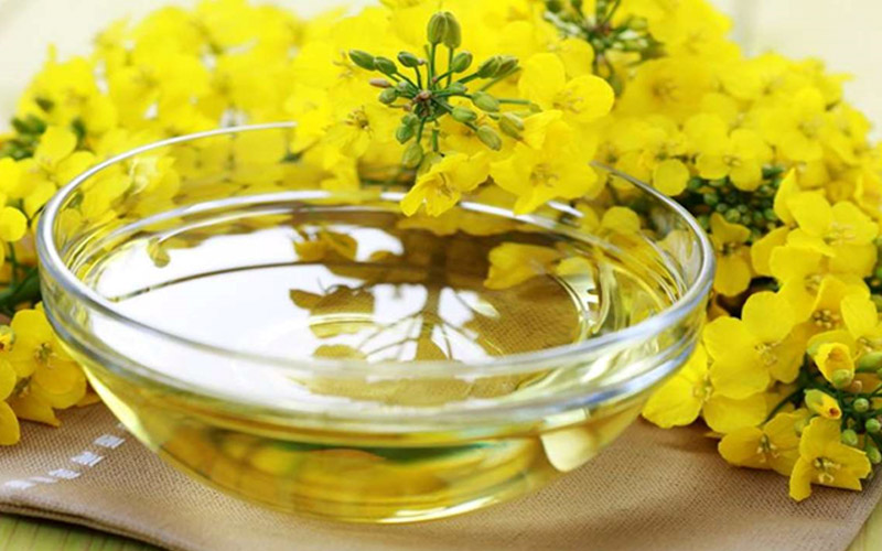 روغن کانولا چیست
