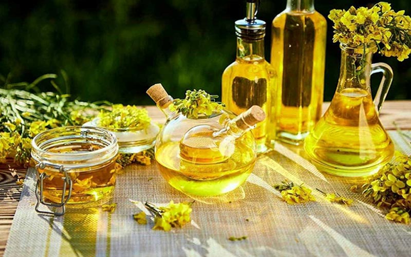 تشخیص روغن کانولا اصل